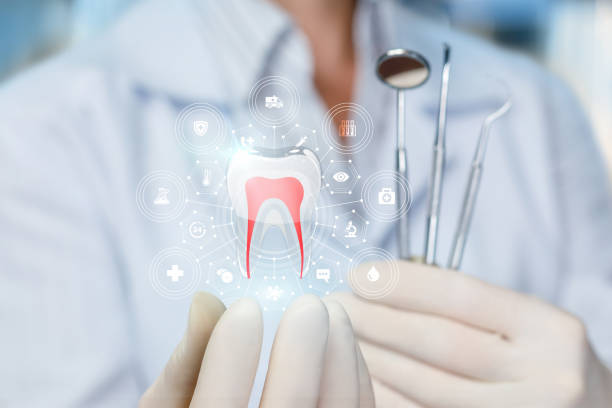 Best Traditional Braces  in Rosaryville, MD